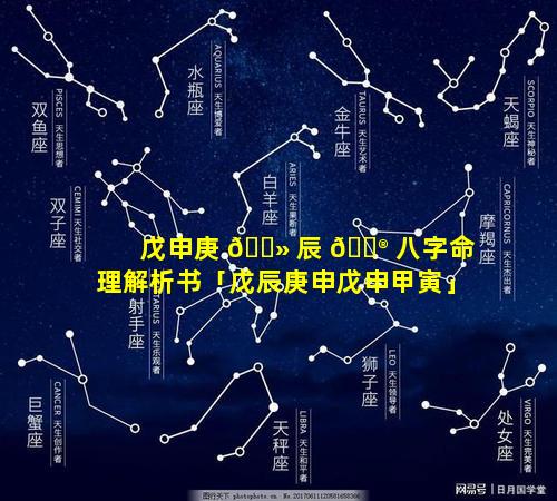 戊申庚 🌻 辰 💮 八字命理解析书「戊辰庚申戊申甲寅」